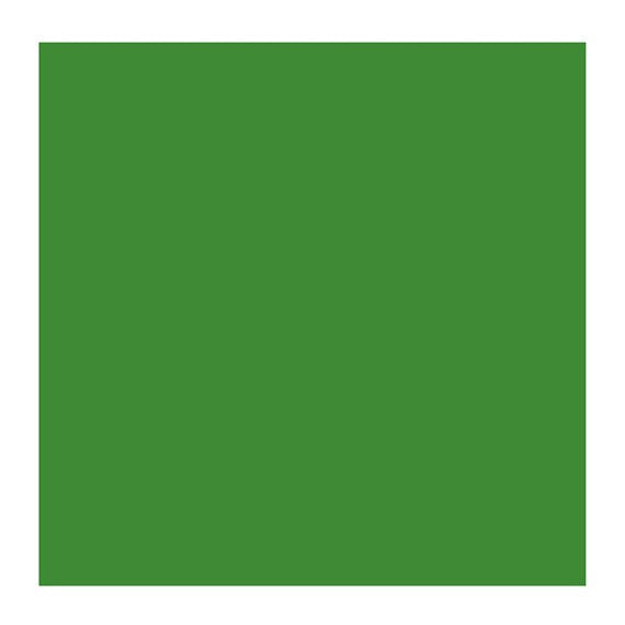CINNABAR GRN MED 625 2 (Rembrandt Oil Colour)