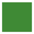 CINNABAR GRN MED 625 2 (Rembrandt Oil Colour)