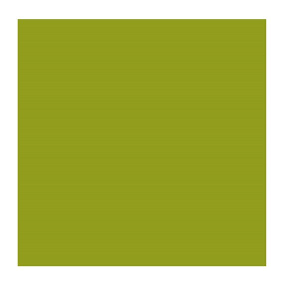 CINNABAR GREEN LT 626 2 (Rembrandt Oil Colour)