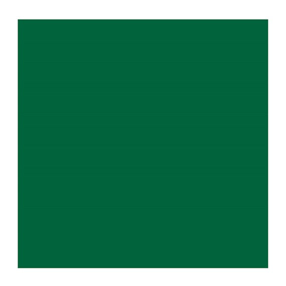 CINNABAR GRN DEEP 627 2 (Rembrandt Oil Colour)