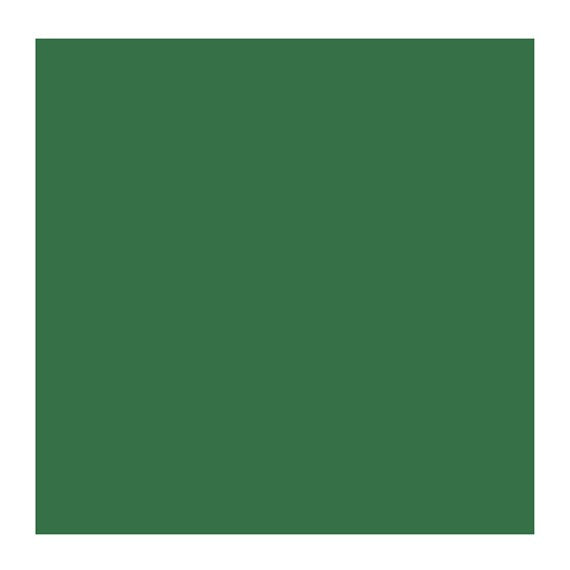 CHROMIUM OX GREEN 668 3 (Rembrandt Oil Colour)