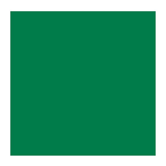 COBALT TURQ GREEN 682 5 (Rembrandt Oil Colour)