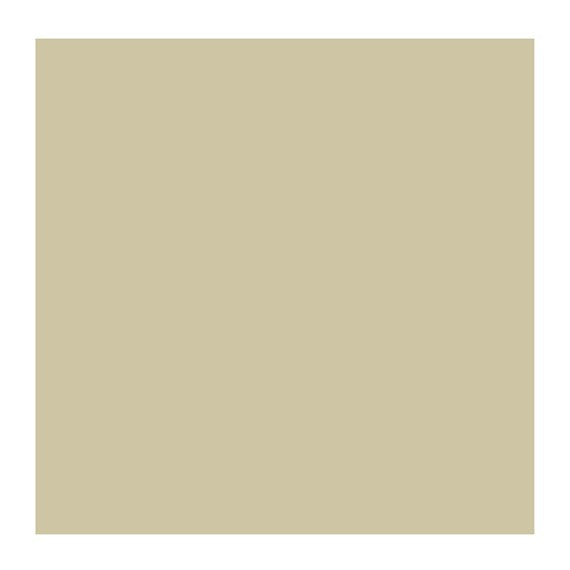 SILVER 800 3 (Rembrandt Oil Colour)